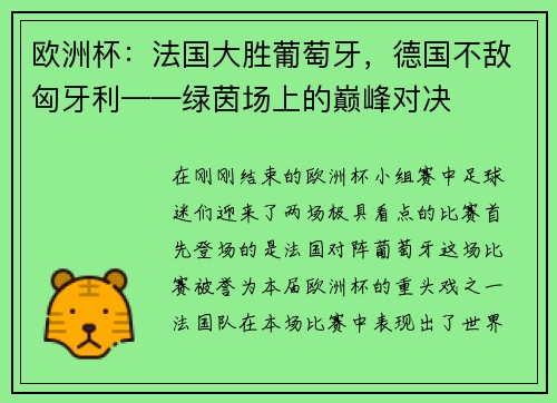 欧洲杯：法国大胜葡萄牙，德国不敌匈牙利——绿茵场上的巅峰对决