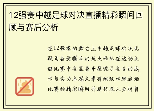 12强赛中越足球对决直播精彩瞬间回顾与赛后分析